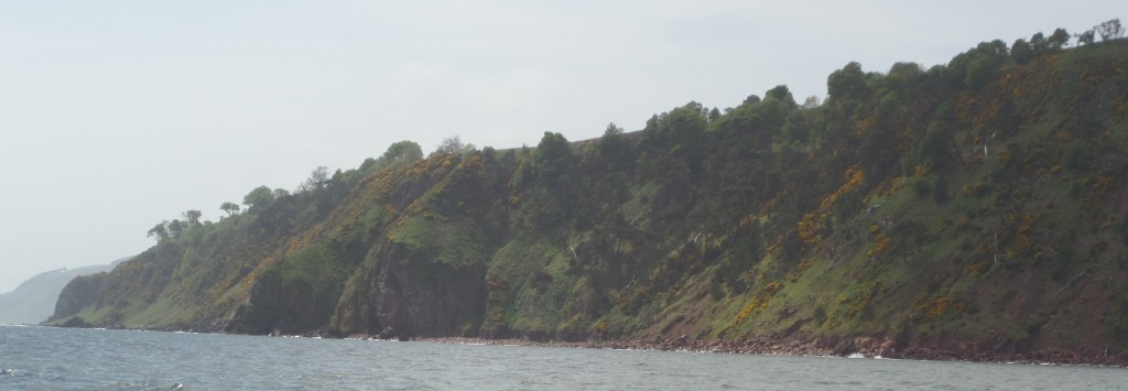 A photo of the Highland coast from sea, some sun starting to cut through the grey shot of green, yellow gorse speckled hills.